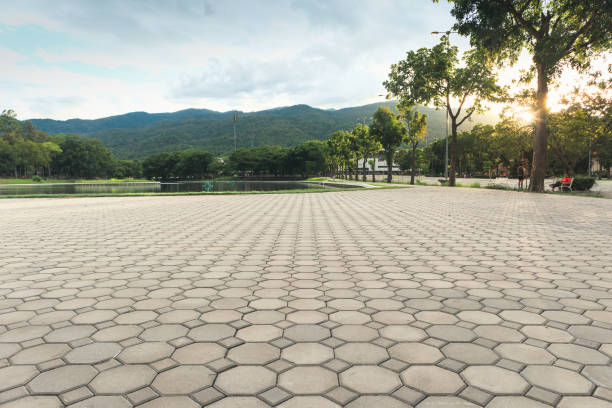 Professional Driveway Pavers in Everman, TX